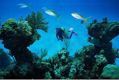 《梦工厂全明星赛车》将于年内登陆全平台